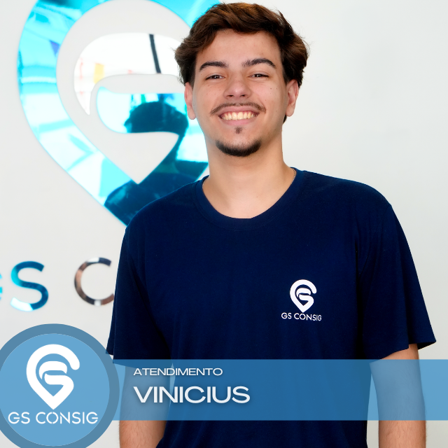Consultor Vinicius Schmitt